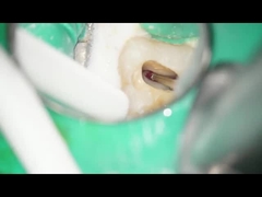 Zahnmedizinische zahnmedizinische Gebrauchs-niedrige Geschwindigkeit RA Burs Tungsten Carbide Burss